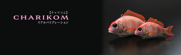 Little Jack Charikom 65mm #02 Madai
