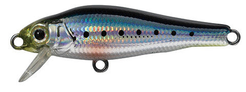 Tackle House Elfin Fish 41mm colour #SW08